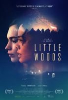 Küçük Orman – Little Woods izle tek part